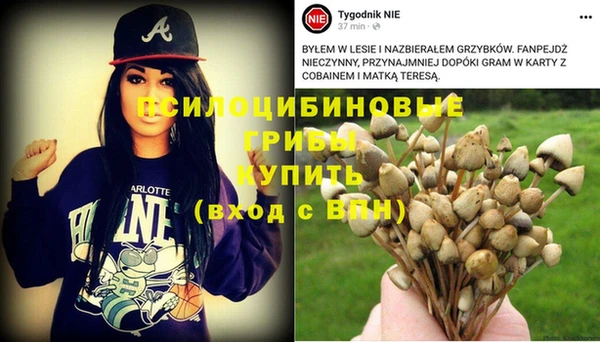 соль ск Переславль-Залесский