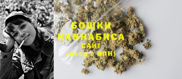 бутират Гусь-Хрустальный