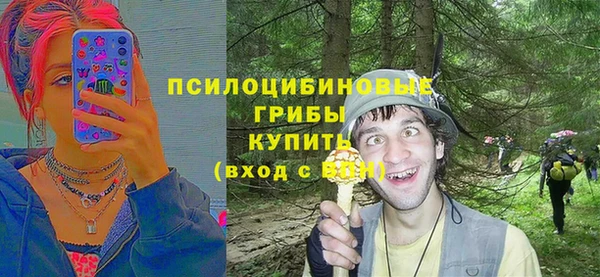 соль ск Переславль-Залесский