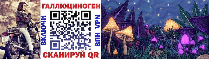 Галлюциногенные грибы GOLDEN TEACHER  Новокубанск 